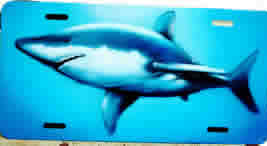airbrush license plate