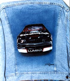 Earbhardt 3 car denim jacket