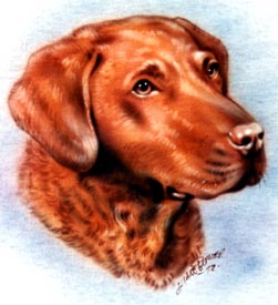 airbrush t-shirt Retriever