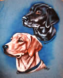 dogs portrait airbrush t-shirt